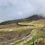 Photo taken by Peter B