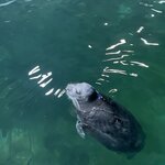 Photo taken by Grace S