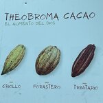 Photo taken by Joyce C