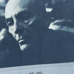 Photo taken by AnaElvia S