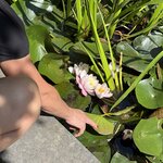 Photo taken by Martin D