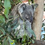 Photo taken by Rosemary S