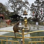 Photo taken by Kathy O