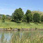 Photo taken by Chirag M