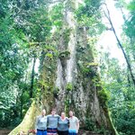 Photo taken by Mordechay T