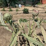 Photo taken by Dorothy H