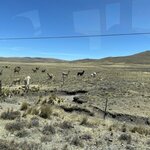 Photo taken by Shanthi V