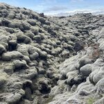 Photo taken by Sue M