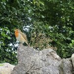 Photo taken by Nicki S