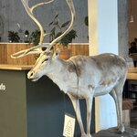 Photo taken by Meg K