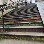 Photo taken by Renee K