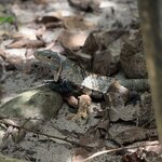 Photo taken by Dana F