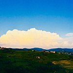 Photo taken by Dianne W