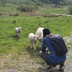 Photo taken by Vikki M