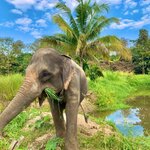 Photo taken by Bianca C