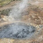 Photo taken by Janice R