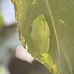 Photo taken by Bonnie Y