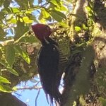 Photo taken by Donna G