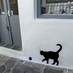 Photo taken by David B