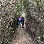 Photo taken by Mike C