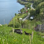 Photo taken by Valerie P