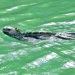 Photo taken by Katherine A