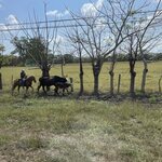 Photo taken by Robin W