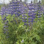 Photo taken by Dawn S