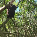 Photo taken by amny g