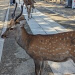 Photo taken by Rich W