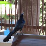 Photo taken by Pat K