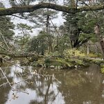 Photo taken by Kirti P