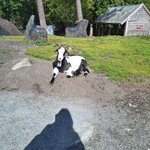 Photo taken by Mary S