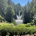 Photo taken by Debbie W