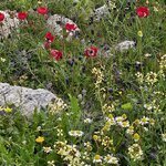 Photo taken by Rita W