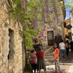 Photo taken by jane p