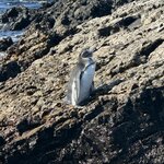 Photo taken by Lisa P