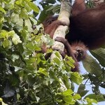 Photo taken by Edit M