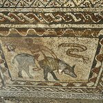 Photo taken by Rajarshi M