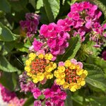 Photo taken by Teresa R