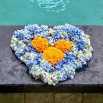 Photo taken by Kim G