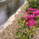 Photo taken by Kaya W