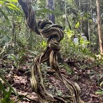 Photo taken by Emily H