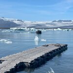 Photo taken by Anita H