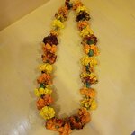 Photo taken by Jane A