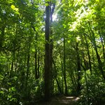 Photo taken by Emelyn J