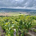 Photo taken by Susan W