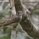 Photo taken by Graham D