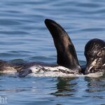 Photo taken by mindy n