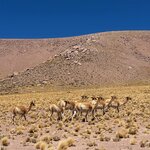 Photo taken by Ameet R